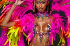 Wire-bra w fl gem bikini bottom.