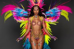 Frontline-Wire bra w fl gem bikini bottom, tiara, fl necklace, upper arms, lower gloves, upper & lower leg pcs & large backpack.