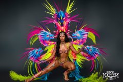 Section Leader-Wire bra w fl gem bikini bottom, tiara, fl necklace, fl upper arms, lower gloves, fl upper & lower leg pcs  & xl-backpack.