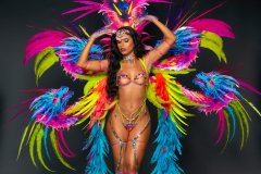 Section Leader-Wire bra w fl gem bikini bottom, tiara, fl necklace, fl upper arms, lower gloves, fl upper & lower leg pcs  & xl-backpack.