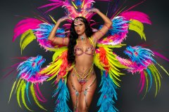 Section Leader-Wire bra w fl gem bikini bottom, tiara, fl necklace, fl upper arms, lower gloves, fl upper & lower leg pcs  & xl-backpack.