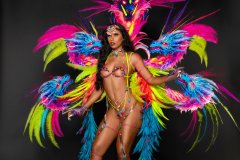 Section Leader-Wire bra w fl gem bikini bottom, tiara, fl necklace, fl upper arms, lower gloves, fl upper & lower leg pcs  & xl-backpack.