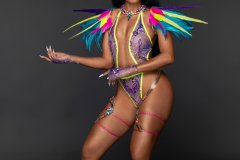 Standard- Monokini, tiara, std necklace, lower gloves, std lower leg pcs & small feathered collar.