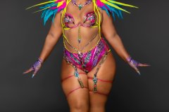 Standard-Standard bra w std gem high waist bottom, tiara, std necklace, lower gloves, std lower leg pcs & small feathered collar.