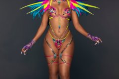 Standard-Standard bra w std gem bikini bottom, tiara, std necklace, lower gloves, std lower leg pcs & small feathered collar.