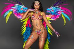 Standard-Standard bra w std gem bikini bottom, tiara, std necklace, lower gloves, std lower leg pcs & medium backpack.