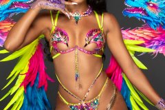 Standard bra with std gem bikini bottom.