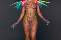 Standard-Standard bra w std gem bikini bottom, tiara, std necklace, lower gloves, std lower leg pcs & small feathered collar.