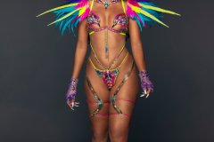 Standard-Standard bra w std gem bikini bottom, tiara, std necklace, lower gloves, std lower leg pcs & small feathered collar.