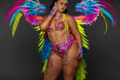 Standard-Standard bra w std gem high waist bottom, tiara, std necklace, lower gloves, std lower leg pcs & medium backpack.