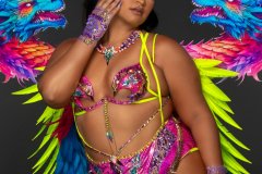 Standard bra with std gem high waist bottom.