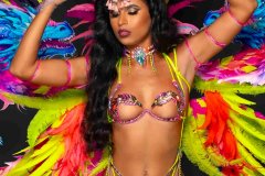 Wire bra with fl gem bikini