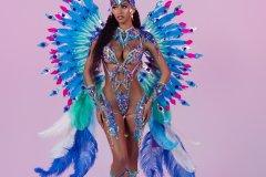 DSC03420