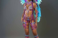 Frontline - wire-bra w fl-gem bikini bottom,  tiara, fl necklace , fl arm  pcs, fl upper and lower leg pcs and medium backpack.