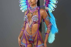 Frontline - wire-bra w fl-gem bikini bottom,  tiara, fl necklace , fl arm  pcs, fl upper and lower leg pcs and medium backpack.