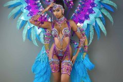 Frontline  - wire-bra w fl-gem bikini bottom,  tiara, fl necklace , fl arm  pcs, fl upper and lower leg pcs and xl backpack.