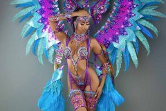 Frontline - - wire-bra w fl-gem bikini bottom,  tiara, fl necklace , fl arm  pcs, fl upper and lower leg pcs and xl backpack.