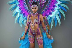 Frontline - wire-bra w fl-gem bikini bottom,  tiara, fl necklace , fl arm  pcs, fl upper and lower leg pcs and xl backpack.