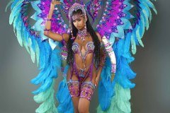 Section Leader- wire-bra w fl-gem bikini bottom,  large tiara, fl necklace , fl arm  pcs, fl upper and lower leg pcs and ultra backpack.