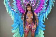 Section Leader- wire-bra w fl-gem bikini bottom,  large tiara, fl necklace , fl arm  pcs, fl upper and lower leg pcs and ultra backpack.