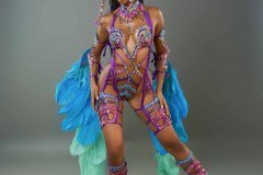 Frontline - wire-bra w fauxkini bottom,  large tiara, fl necklace , fl arm  pcs, fl upper and lower leg pcs and bustle.