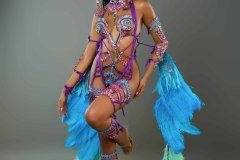 Frontline - wire-bra w fauxkini bottom, large tiara, fl necklace , fl arm  pcs, fl upper and lower leg pcs and bustle.