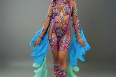 Frontline - wire-bra w fauxkini bottom, large tiara, fl necklace , fl arm  pcs, fl upper and lower leg pcs and bustle.