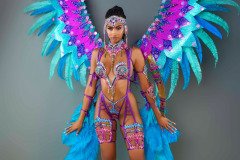 Frontline - wire-bra w fl-gem bikini bottom,  tiara, fl necklace , fl arm  pcs, fl upper and lower leg pcs and large backpack.