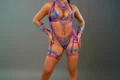 Standard-tiara, std necklace, std arm pcs, std leg pcs, padded bra, std gem bikini bottom .