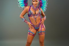 Standard-tiara, std necklace, std arm pcs, std leg pcs, padded bra, std gem bikini bottom and  small backpack.