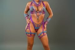 Standard-tiara, std necklace, std arm pcs, std leg pcs, padded bra, std gem bikini bottom .