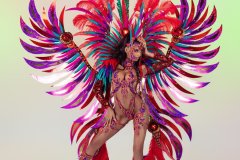 DSC02038