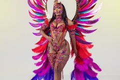 DSC02278
