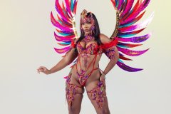 DSC02294