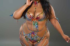 Standard-tiara, std necklace, std arm pcs, std leg pcs, padded bra, std gem high waist bottom.