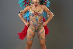 Standard-tiara, std necklace, std arm pcs, std leg pcs, padded bra, std gem bikini bottom &amp; medium backpack.