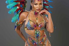 Standard-tiara, std necklace, std arm pcs, std leg pcs, padded bra, std gem bikini bottom &amp; small backpack.