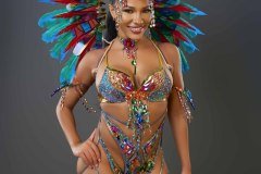 Standard-tiara, std necklace, std arm pcs, std leg pcs, padded bra, std gem bikini bottom &amp; small backpack.