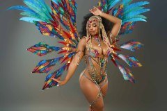 Frontline - -wire-bra w fl-gem bikini bottom,  fl tiara, fl necklace , fl arm  pcs, fl upper and lower leg pcs and  xlarge backpack.