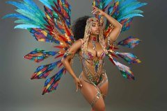 Frontline - -wire-bra w fl-gem bikini bottom,  fl tiara, fl necklace , fl arm  pcs, fl upper and lower leg pcs and xlarge backpack.