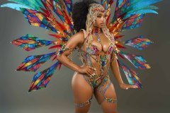 Frontline - -wire-bra w fl-gem bikini bottom,  fl tiara, fl necklace , fl arm  pcs, fl upper and lower leg pcs and  xlarge backpack.