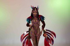 Feathered bustle