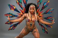 Frontline - -wire-bra w fl-gem bikini bottom,  fl tiara, fl necklace , fl arm  pcs, fl upper and lower leg pcs and large backpack.