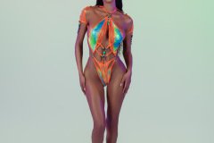 DSC03118