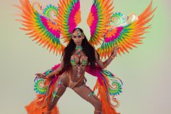 DSC03297