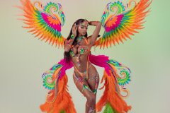 DSC03342