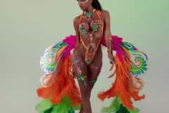 DSC03402