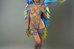 Frontline - -wire-bra w fl-gem bikini bottom,  tiara, fl necklace w shoulder pc, fl upper and lower leg pcs  &amp; medium backpack.