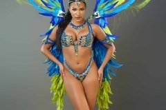 Standard-tiara, std necklace, std arm pcs, std leg pcs, padded bra, std gem bikini bottom and  medium backpack