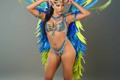 Standard-tiara, std necklace, std arm pcs, std leg pcs, padded bra, std gem bikini bottom &amp; medium backpack.